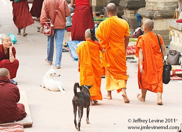 Buddhism, Buddha Buddhist trail, Jeffrey-M-Levine-MD; Jeff-Levine, Dr-Jeffrey-Levine, Jlevinemd, levineartstudio, india, spirituality, Bodh Gaya