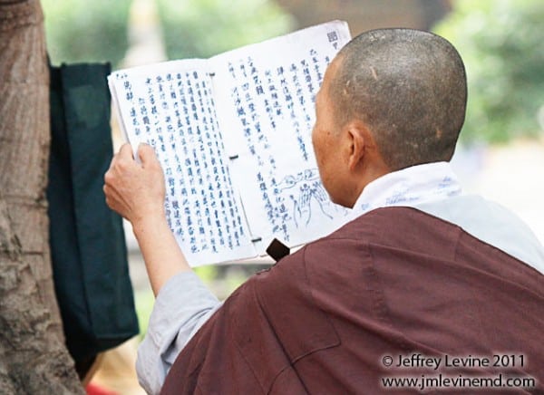 Buddhism, Buddha Buddhist trail, Jeffrey-M-Levine-MD; Jeff-Levine, Dr-Jeffrey-Levine, Jlevinemd, levineartstudio, india, spirituality, Bodh Gaya