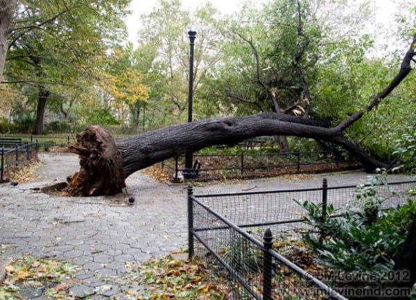 New York city after hurricane sandy, blackout, Jeffrey-M-Levine-MD; Jeff-Levine, Dr-Jeffrey-Levine, Jlevinemd, levineartstudio, manhattan, 