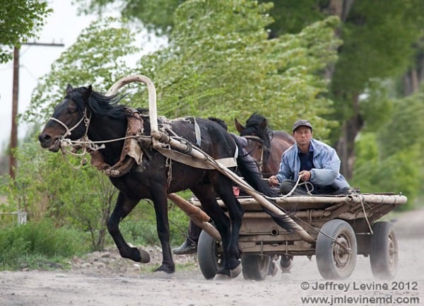 aging in central asia, kyrgyzstan