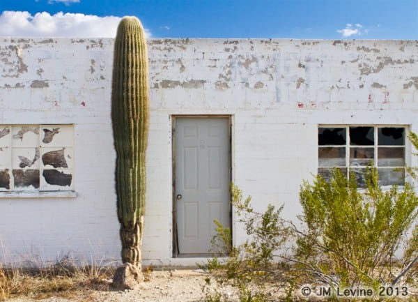  Ghost-motels-arizona, Jeffrey-M-Levine-MD; Jeff-Levine, Dr-Jeffrey-Levine, Jlevinemd, levineartstudio, cactus, desert, ruins, deserted motel