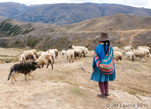 Peru, south America, andes, paucartambo, masks, festival, Jeffrey-M-Levine-MD; Jeff-Levine, Dr-Jeffrey-Levine, Jlevinemd, levineartstudio, india,