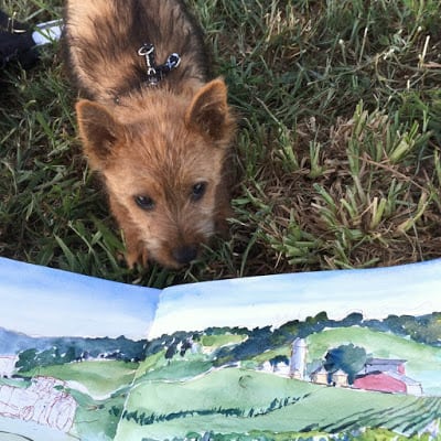 road trip, puppy, norwich terrier,