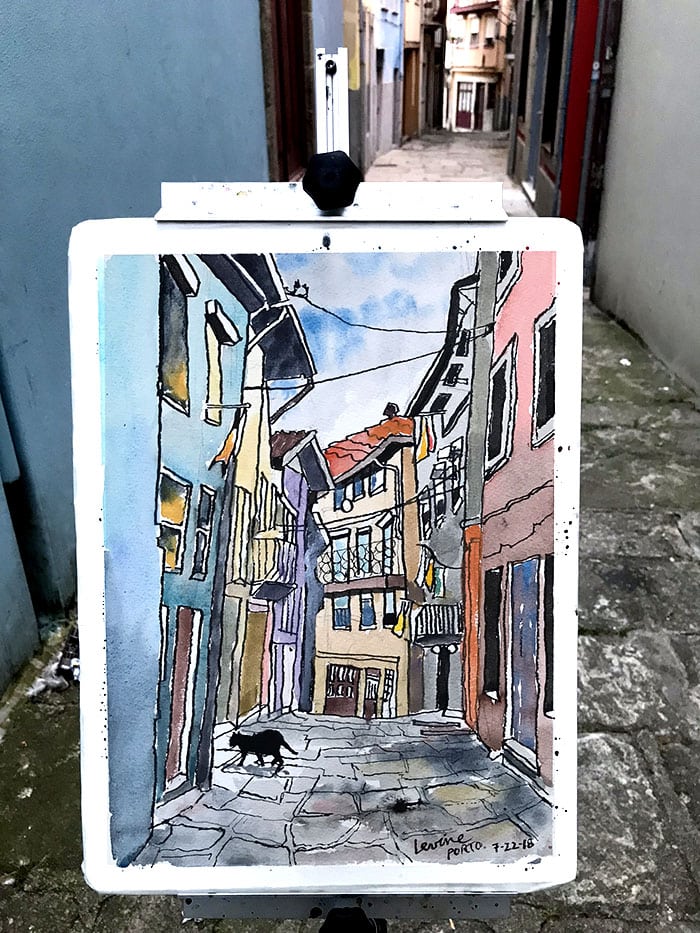 watercolor Oporto cat in alleyway