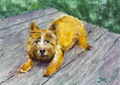 winslow, dog portrait, Norwich Terrier, gouache