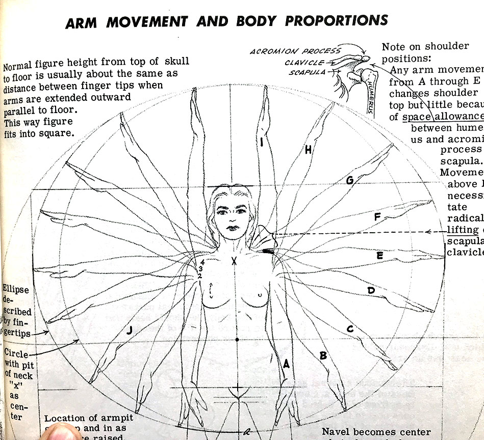 Edit Jack Hamm book Drawing the Head and Figure