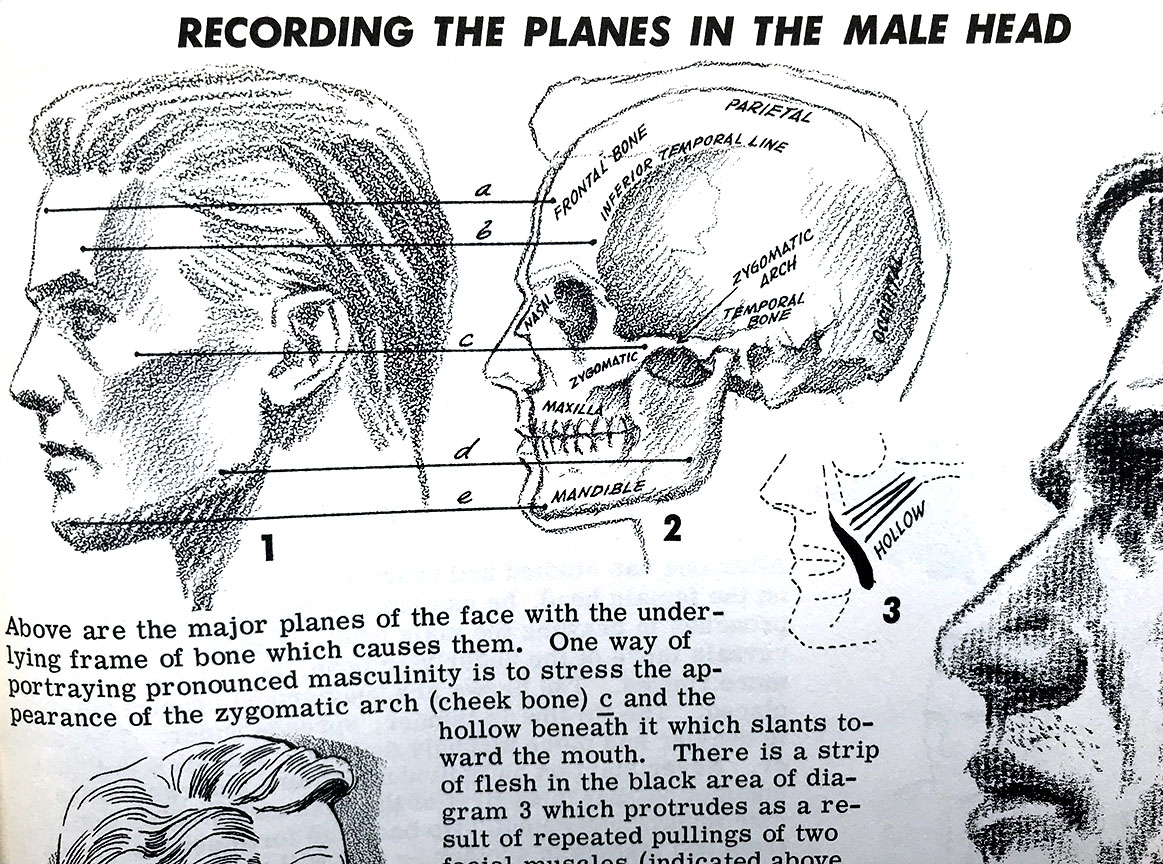 My Art Library: Drawing the Head & Figure, by Jack Hamm - LevineArtStudio