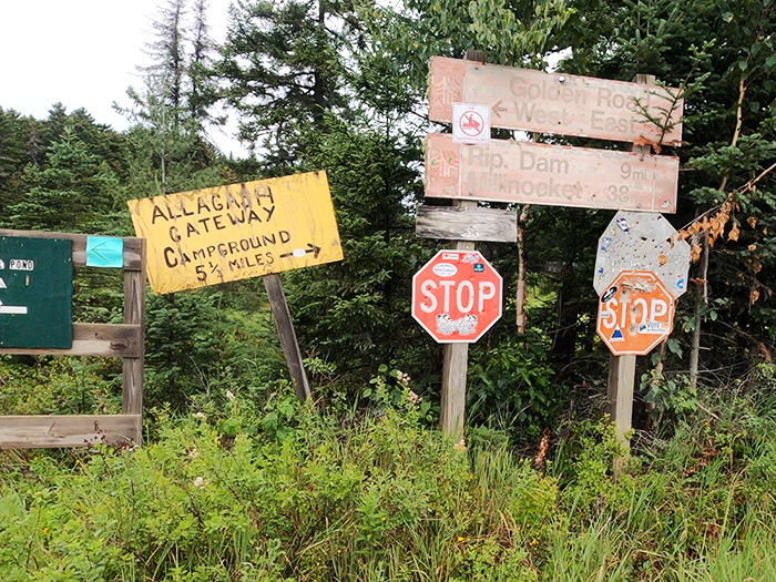 Sketching the abandoned steam locomotives of Maine