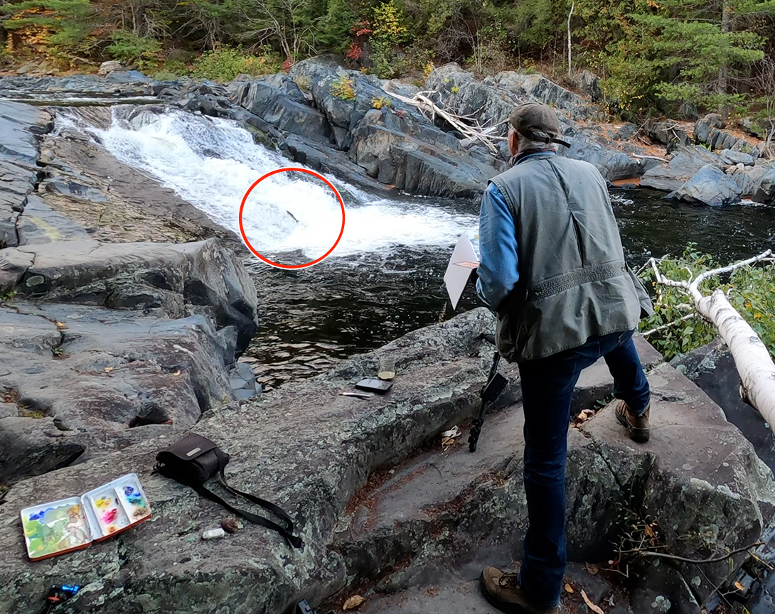 plein air painting waterfall jumping salmon