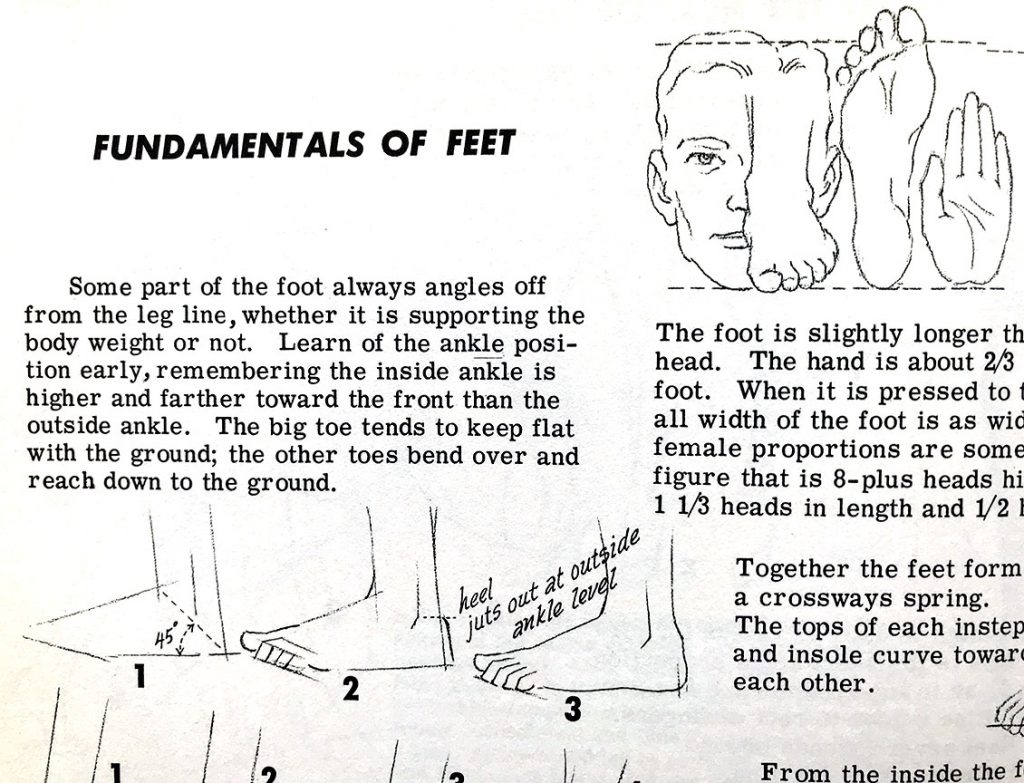 jack hamm drawing the head and figure pdf